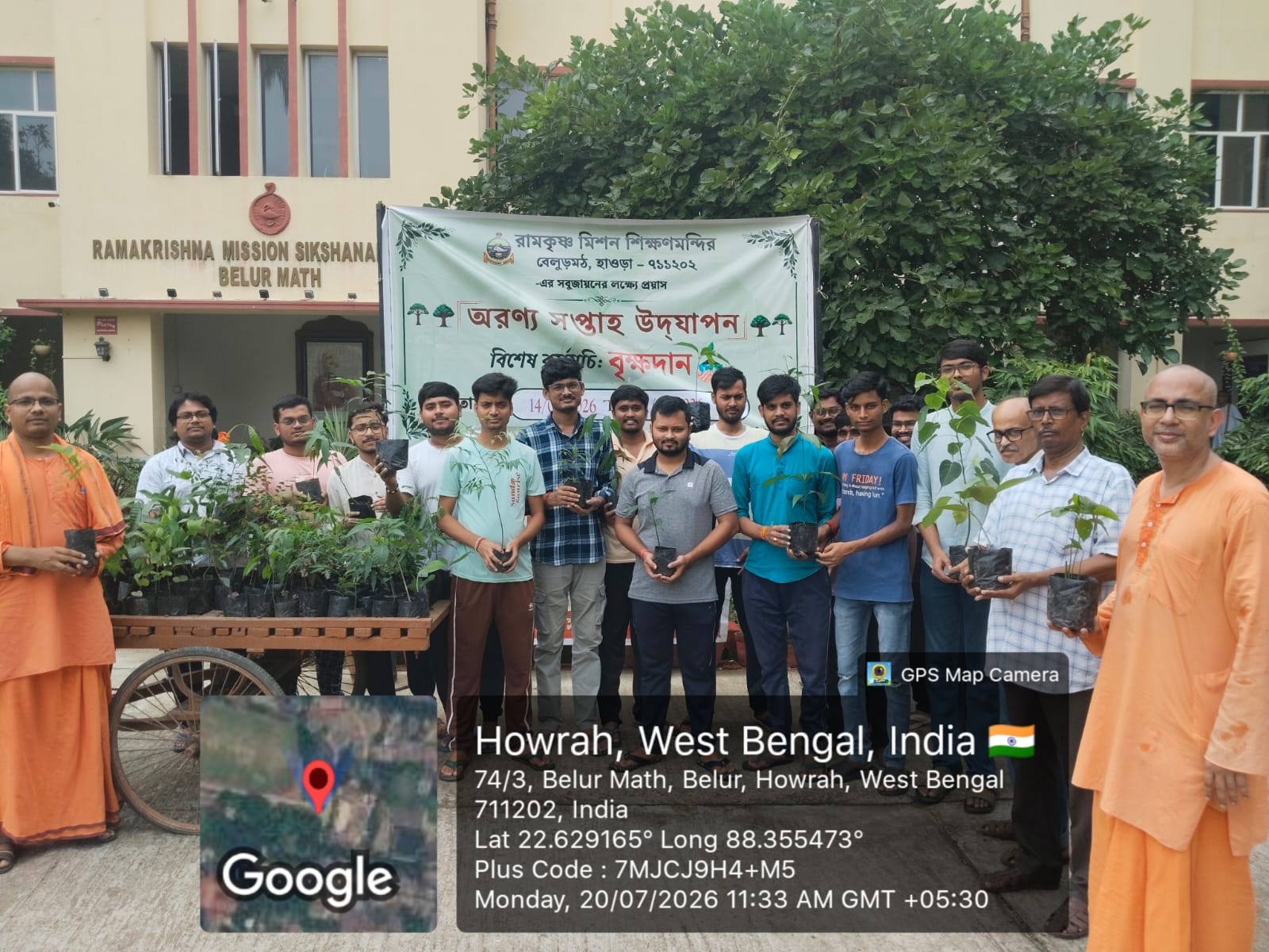 Saplings Distribution
